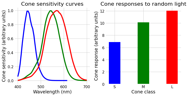 _images/conceptual_intro_cones.png