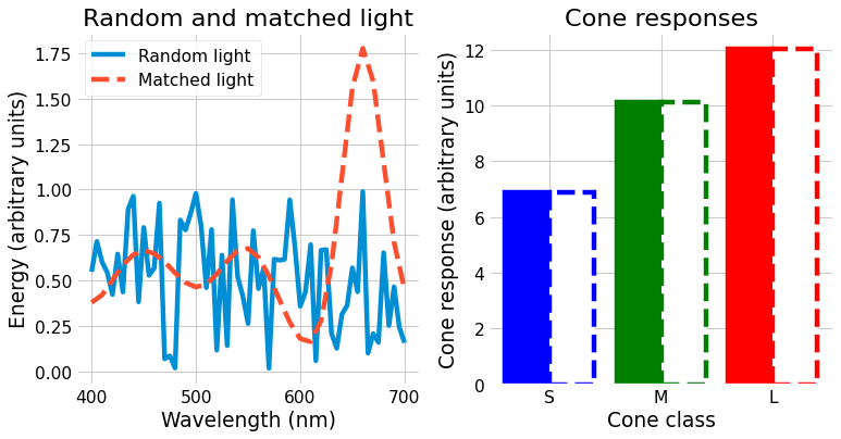 _images/conceptual_intro_matched_light.png