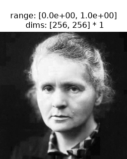 ../../_images/plenoptic-data-curie-1.png