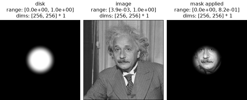 ../../_images/plenoptic-data-disk-1.png
