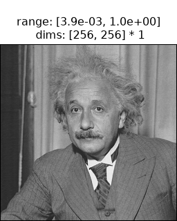 ../../_images/plenoptic-data-einstein-1.png