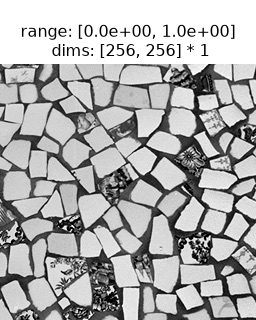 ../../_images/plenoptic-data-fetch_data-1.png