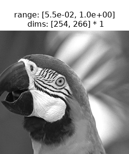 ../../_images/plenoptic-data-parrot-1.png