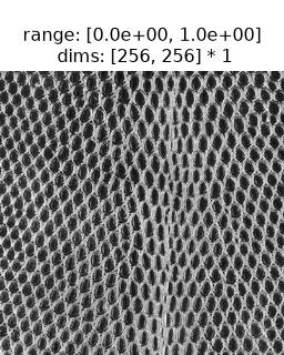 ../../_images/plenoptic-data-reptile_skin-1.png