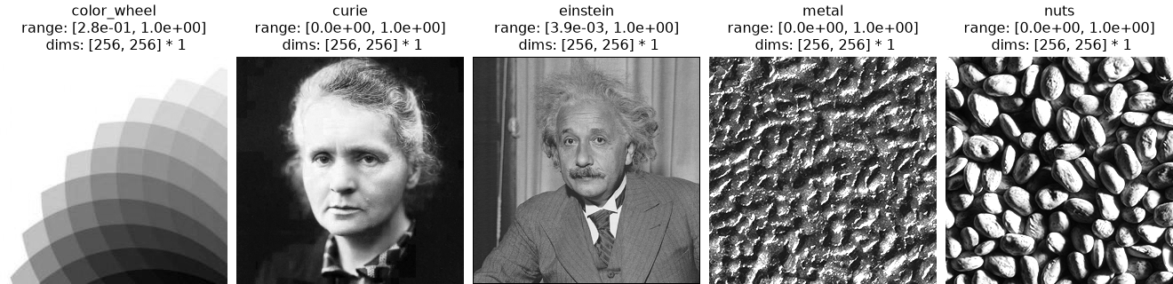 ../../_images/plenoptic-load_images-1.png