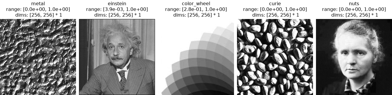 ../../_images/plenoptic-load_images-2.png