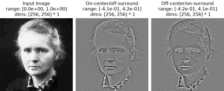../../_images/plenoptic-models-CenterSurround-2.png