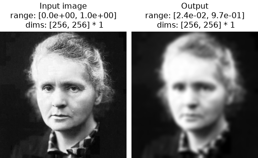 ../../_images/plenoptic-models-Gaussian-1.png