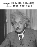 ../../_images/plenoptic-plot-imshow-8.png