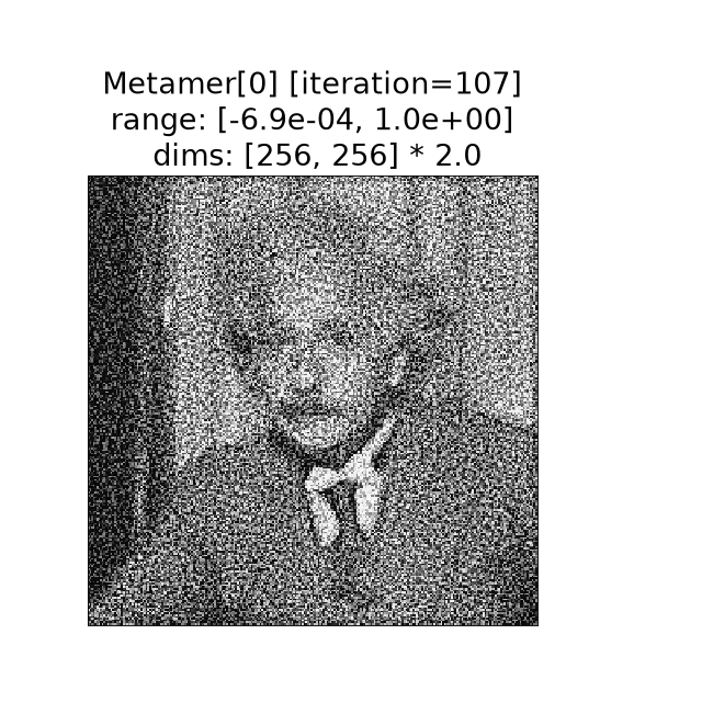 ../../_images/plenoptic-plot-synthesis_imshow-5.png