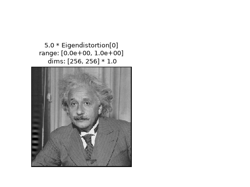 ../../_images/plenoptic-plot-synthesis_imshow-8.png