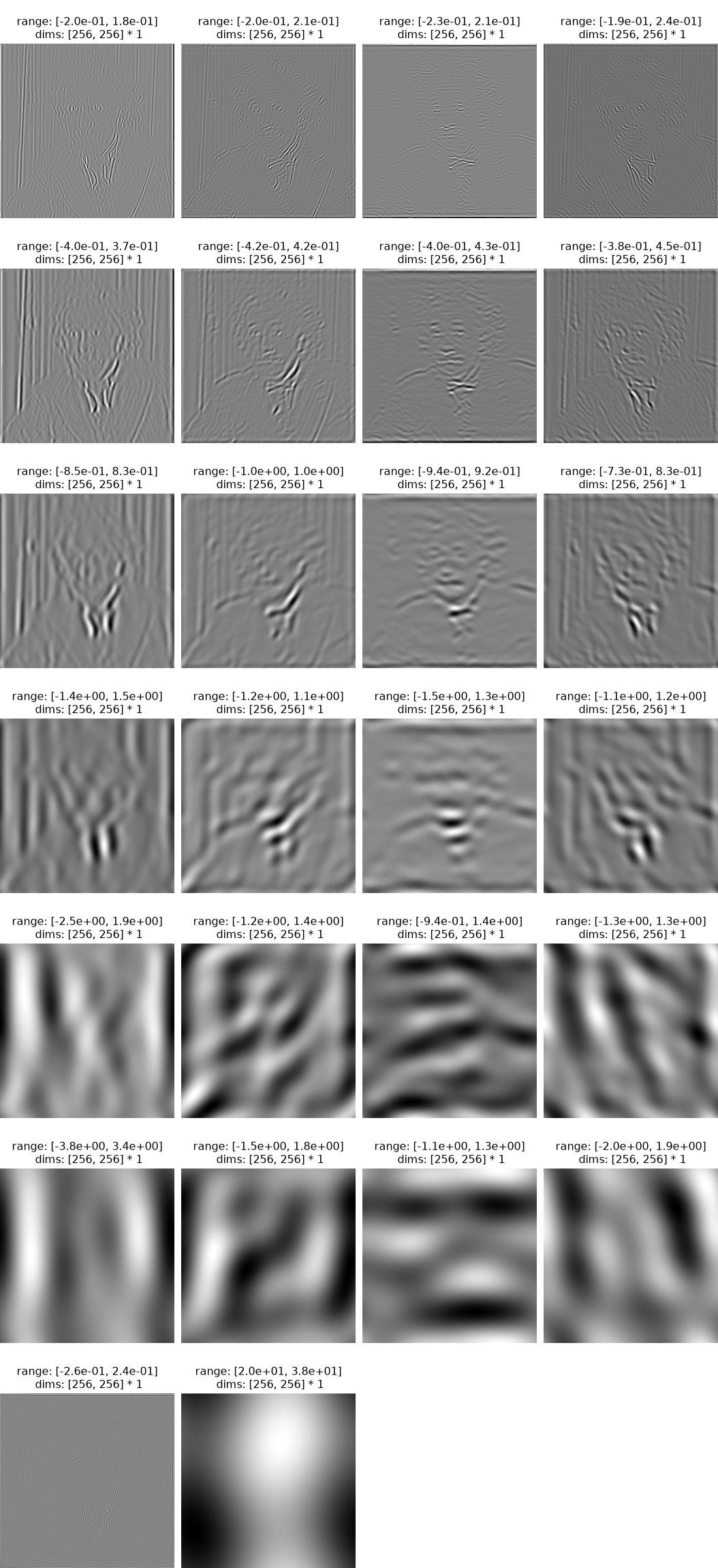 ../../_images/plenoptic-process-SteerablePyramidFreq-1.png