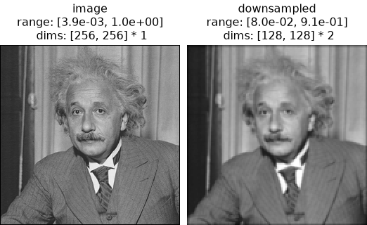../../_images/plenoptic-process-blur_downsample-1.png