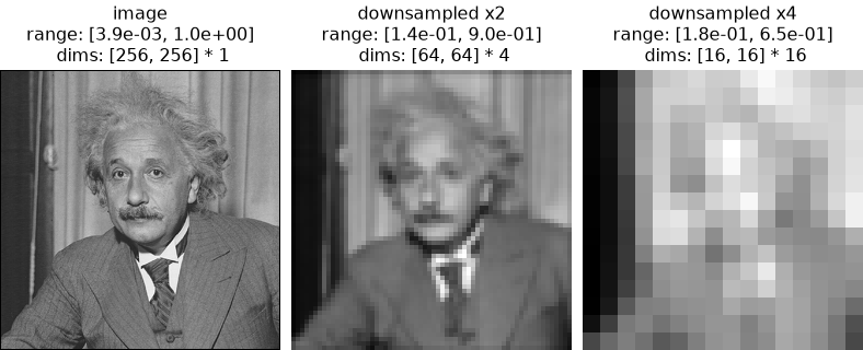 ../../_images/plenoptic-process-blur_downsample-2.png