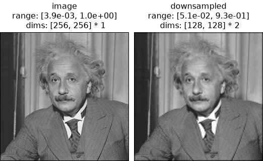 ../../_images/plenoptic-process-correlate_downsample-1.png