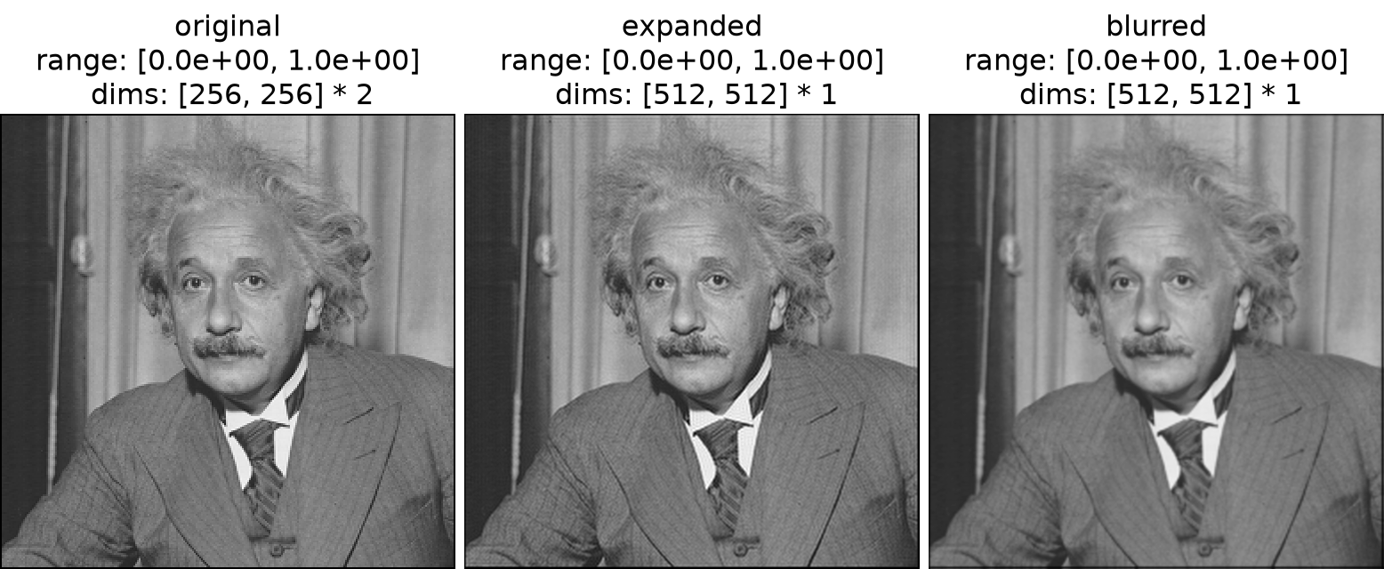../../_images/plenoptic-process-expand-2.png