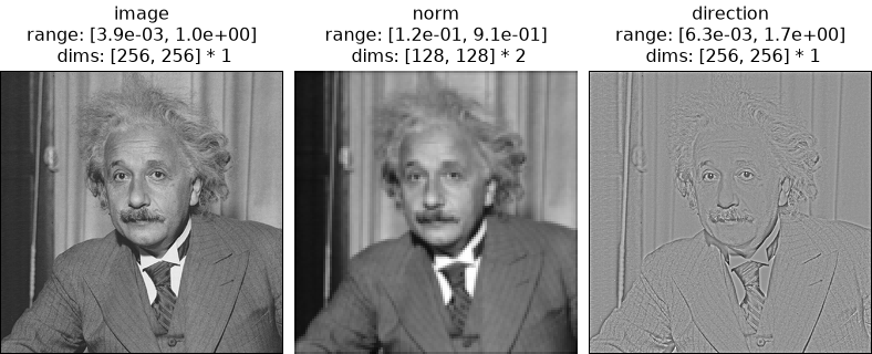 ../../_images/plenoptic-process-local_gain_control-1.png