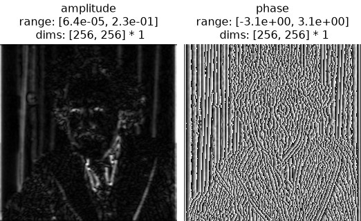 ../../_images/plenoptic-process-rectangular_to_polar-2.png