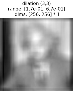 ../../_images/plenoptic-process-same_padding-5_01.png