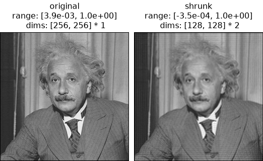 ../../_images/plenoptic-process-shrink-1.png