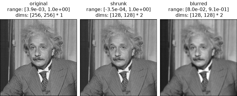 ../../_images/plenoptic-process-shrink-2.png