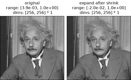 ../../_images/plenoptic-process-shrink-3.png