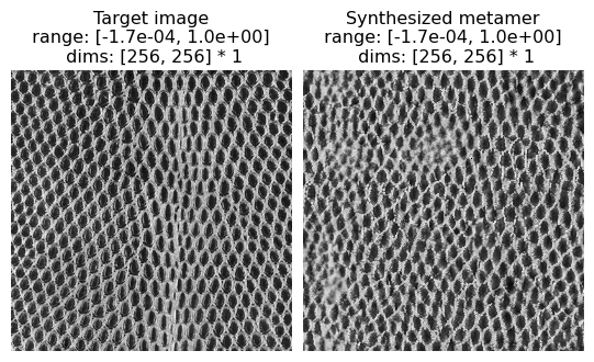 ../../_images/tutorials_intro_06_Metamer_37_1.png