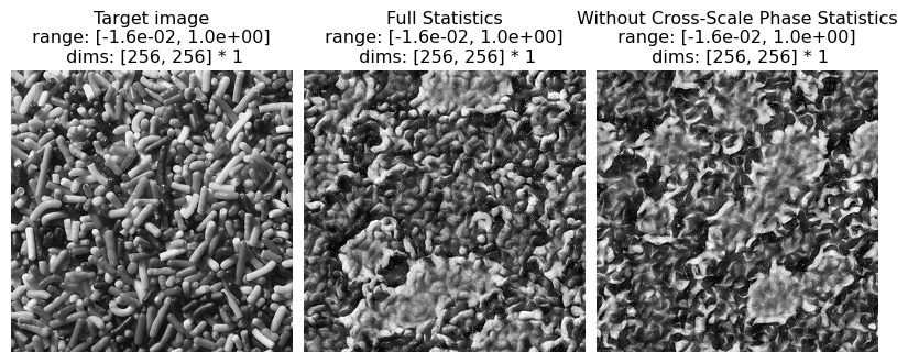 ../../_images/tutorials_models_Metamer-Portilla-Simoncelli_42_0.png