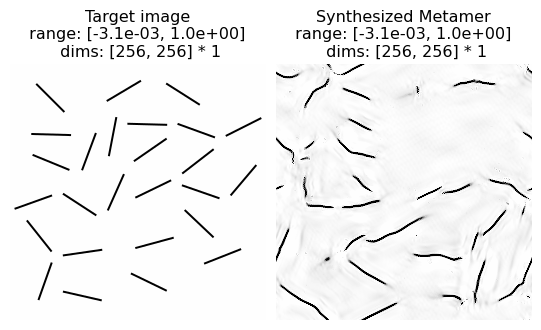 ../../_images/tutorials_models_Metamer-Portilla-Simoncelli_76_0.png