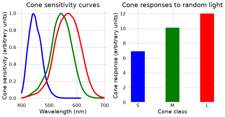 ../_images/conceptual_intro_cones.png