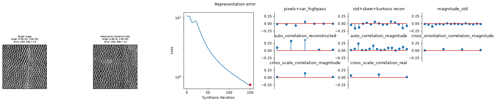 ../../_images/plenoptic-MetamerCTF-1.png