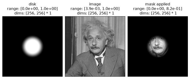 ../../_images/plenoptic-data-disk-1.png