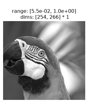 ../../_images/plenoptic-data-parrot-1.png