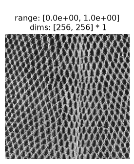 ../../_images/plenoptic-data-reptile_skin-1.png