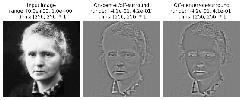 ../../_images/plenoptic-models-CenterSurround-2.png