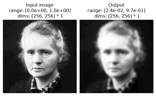 ../../_images/plenoptic-models-Gaussian-1.png