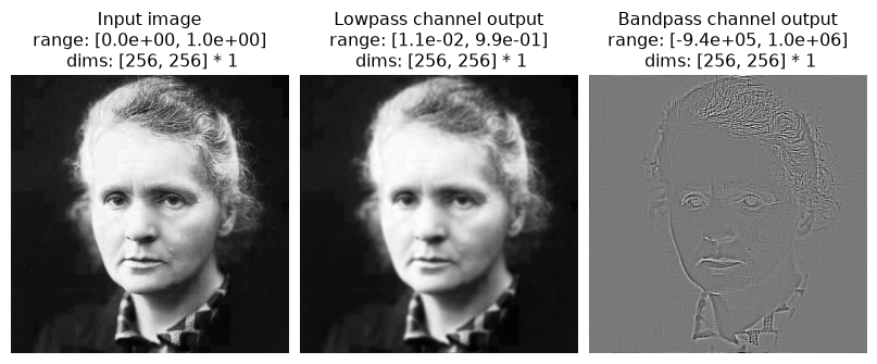 ../../_images/plenoptic-models-Linear-1.png