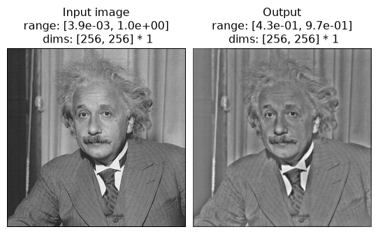 ../../_images/plenoptic-models-LinearNonlinear-2.png