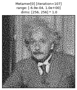 ../../_images/plenoptic-plot-synthesis_imshow-5.png