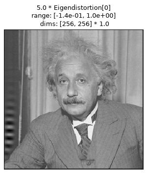 ../../_images/plenoptic-plot-synthesis_imshow-7.png