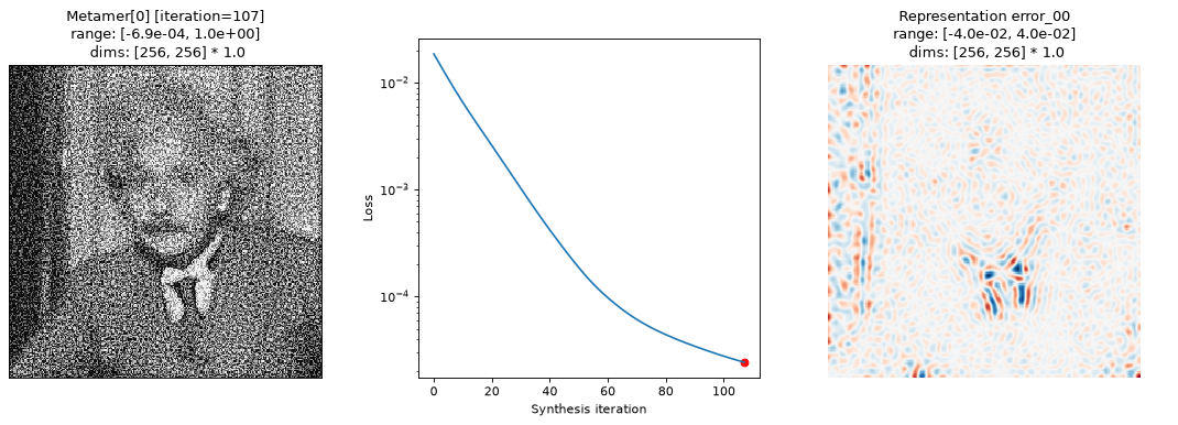 ../../_images/plenoptic-plot-synthesis_status-1.png