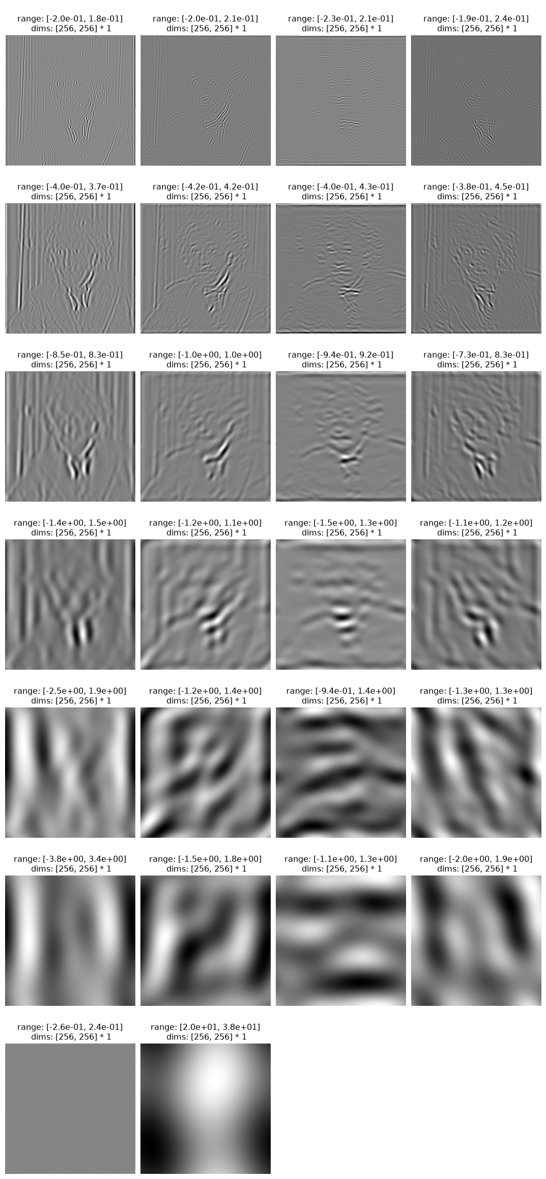 ../../_images/plenoptic-process-SteerablePyramidFreq-1.png