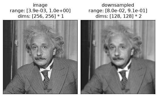 ../../_images/plenoptic-process-blur_downsample-1.png