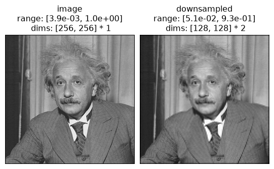 ../../_images/plenoptic-process-correlate_downsample-1.png