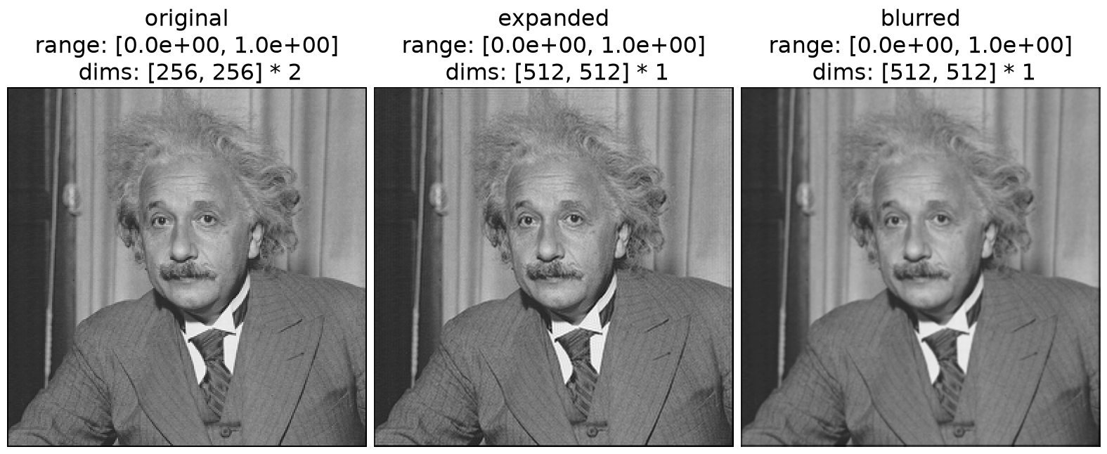../../_images/plenoptic-process-expand-2.png