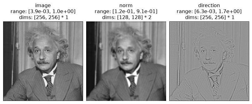 ../../_images/plenoptic-process-local_gain_control-1.png