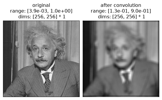 ../../_images/plenoptic-process-same_padding-2.png