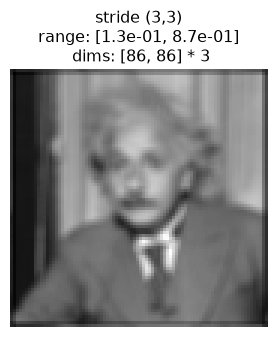 ../../_images/plenoptic-process-same_padding-5_00.png