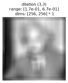 ../../_images/plenoptic-process-same_padding-5_01.png