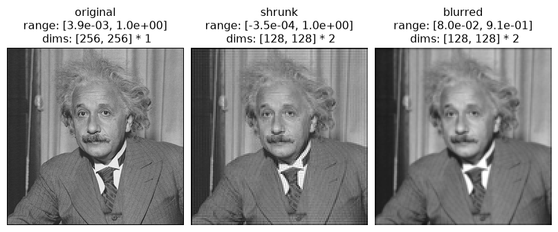 ../../_images/plenoptic-process-shrink-2.png